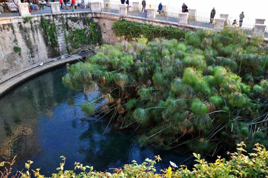 Siracusa Vacanze Syracuse Quarto foto